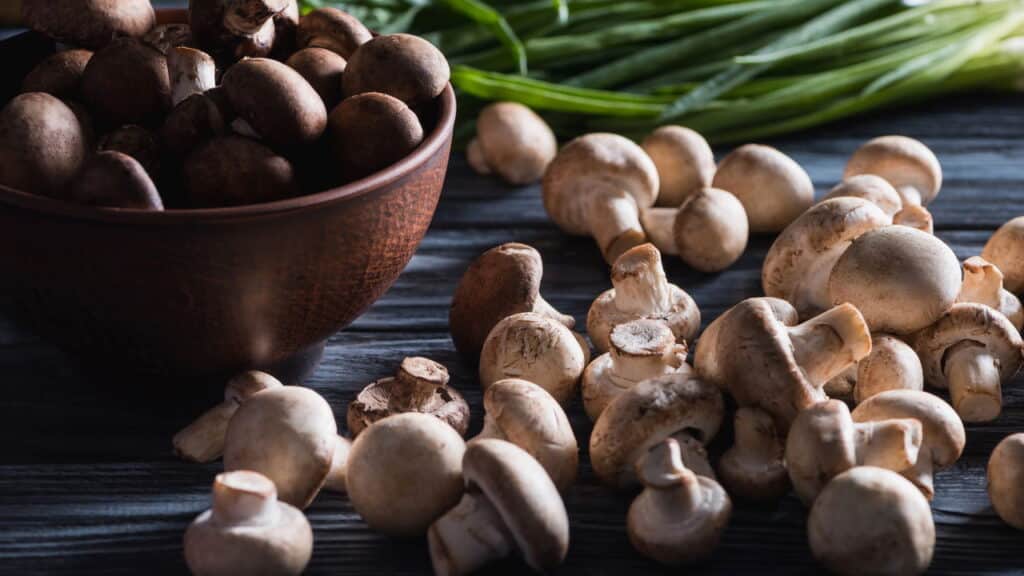 Esses são os cogumelos mais fáceis para cultivar em casa