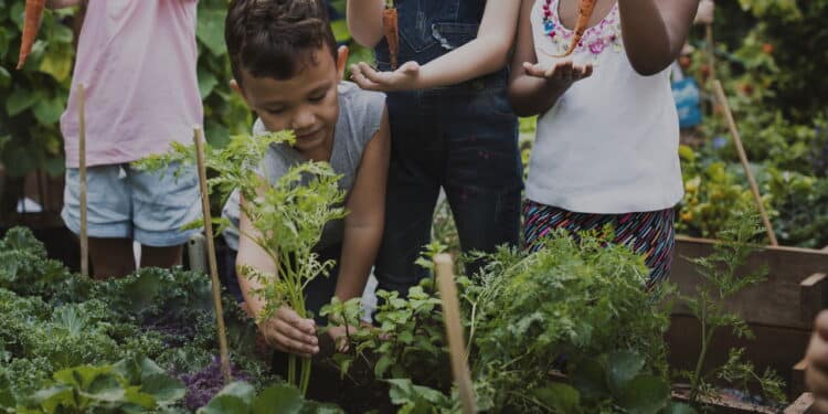 Deixe seu filho plantar: o jardinagem como ferramenta de aprendizado e afeto