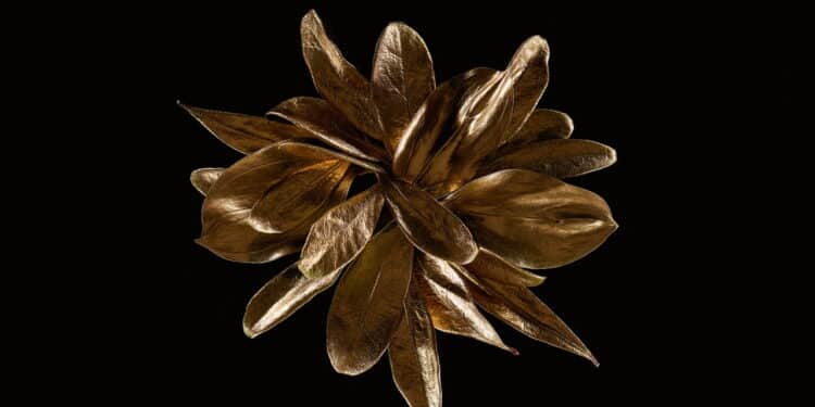 Flor de ouro fictícia // Créditos: depositphotos.com / VadimVasenin