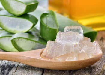 A planta queridinha dos famosos que até mesmo Gisele Bündchen cultiva em casa