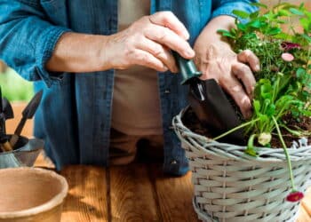 Créditos: depositphotos.com / HayDmitriy