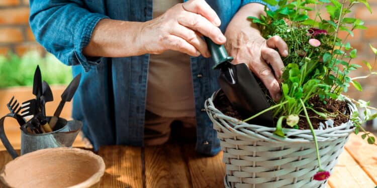 Créditos: depositphotos.com / HayDmitriy