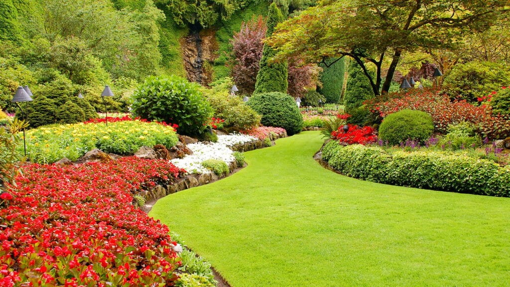 A adubação perfeita para seu jardim florir colorido e saudável