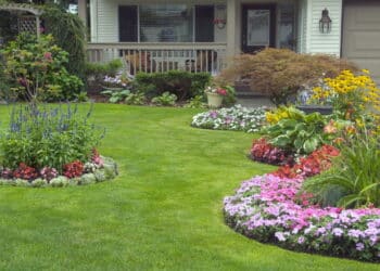 A melhor forma organizar seu jardim de forma simples e atraente