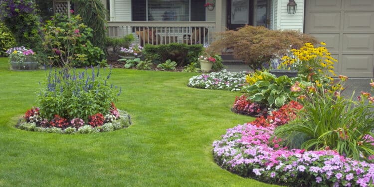 A melhor forma organizar seu jardim de forma simples e atraente