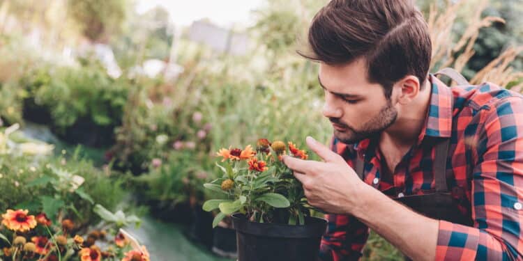 Você acha que está cuidando bem das plantas? Especialistas dizem o contrário