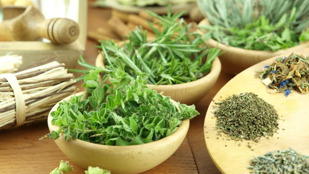 Quais plantas tem ação anti-inflamatória e bactericida?