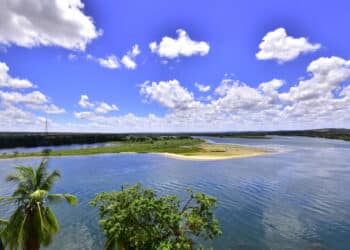 Créditos: depositphotos.com / marciocoelhofotografo