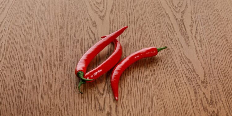 Créditos: depositphotos.com / AntonMatyukha