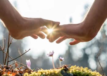 Plantas e luz solar - Créditos: depositphotos.com / Gajus-Images