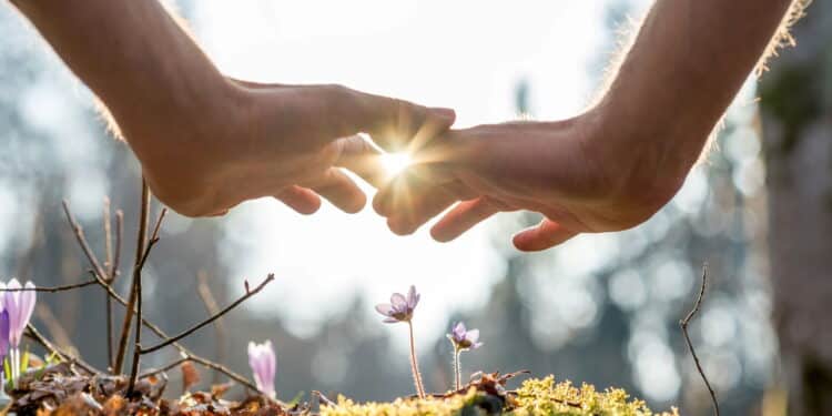 Plantas e luz solar - Créditos: depositphotos.com / Gajus-Images