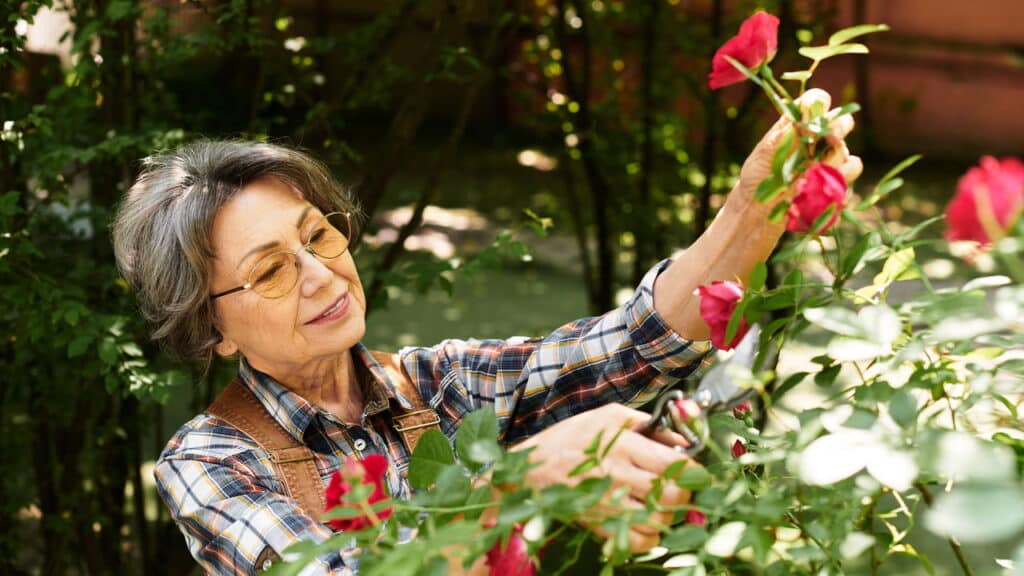 A técnica secreta dos jardineiros para deixar o jardim perfeito