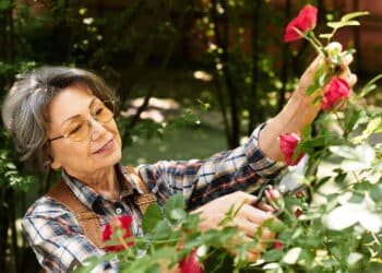 A técnica secreta dos jardineiros para deixar o jardim perfeito