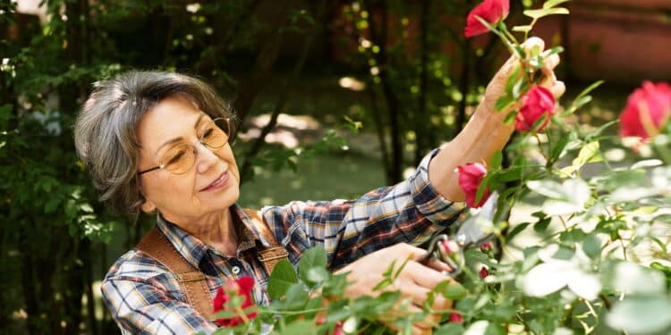 A técnica secreta dos jardineiros para deixar o jardim perfeito