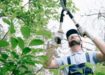 As dicas primordiais de jardinagem que todo iniciante deveria seguir