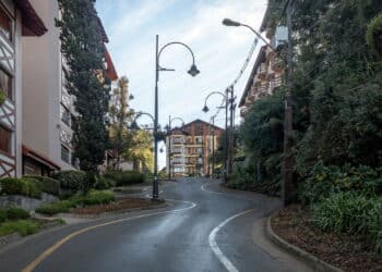 Créditos: depositphotos.com / diegograndi