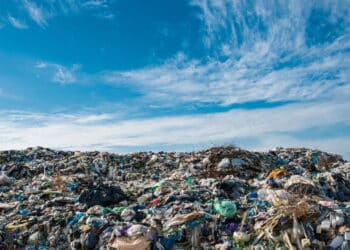 A ilha sem lei e sem terra que é três vezes maior que a França