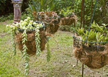 Veja passo a passo para transformar simples arame e pedras em um vaso de plantas incrível