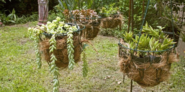 Veja passo a passo para transformar simples arame e pedras em um vaso de plantas incrível