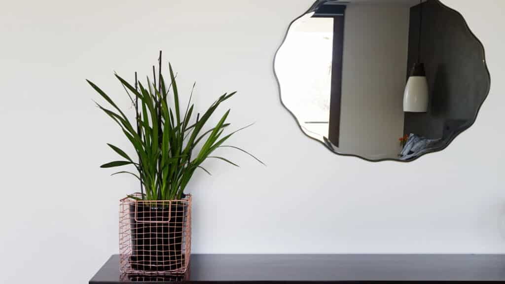 Como fazer um vaso de plantas com arame e pedras?