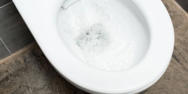 O truque com sal favorito das donas de casa para limpar vasos sanitários sem esforço