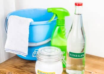 Mito ou verdade: vinagre substitui todos os produtos de limpeza?
