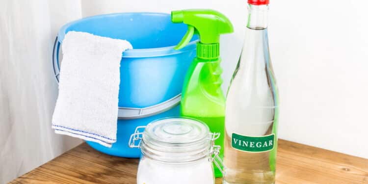 Mito ou verdade: vinagre substitui todos os produtos de limpeza?