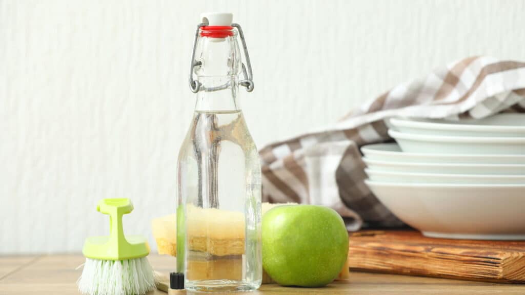 Mito ou verdade: vinagre substitui todos os produtos de limpeza?