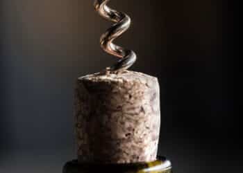 O truque caseiro que faz rolhas de vinho virarem tesouro para suas plantas