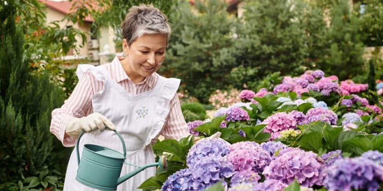 Conheça as 3 plantas que mudam de cor e deixam qualquer jardim fascinante