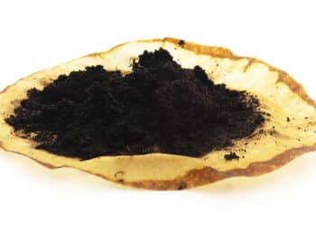 Jogar borra de café na pia parece inofensivo mas pode causar problema grave