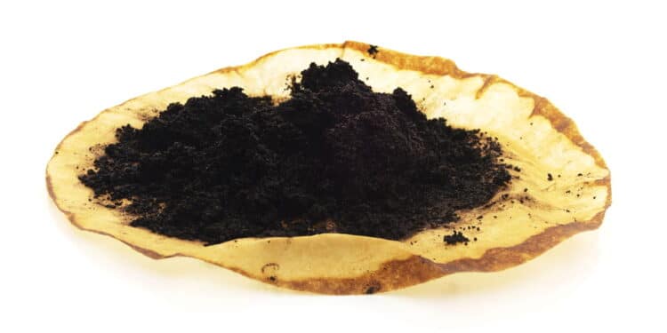 Jogar borra de café na pia parece inofensivo mas pode causar problema grave