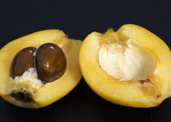 Essa fruta pouco conhecida fortalece o fígado e traz benefícios incríveis para a saúde