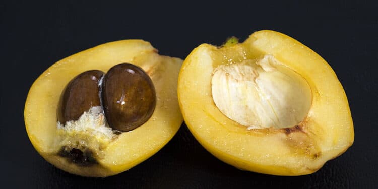 Essa fruta pouco conhecida fortalece o fígado e traz benefícios incríveis para a saúde