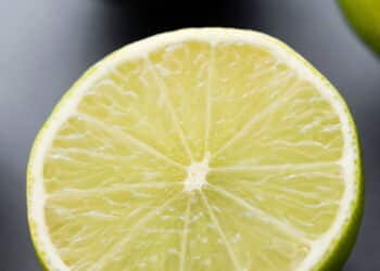 Entenda por que metade do limão você deve guardar no forno e não na geladeira