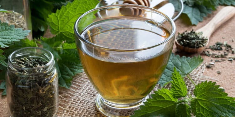 Este chá anti-inflamatório vai turbinar a saúde dos seus rins
