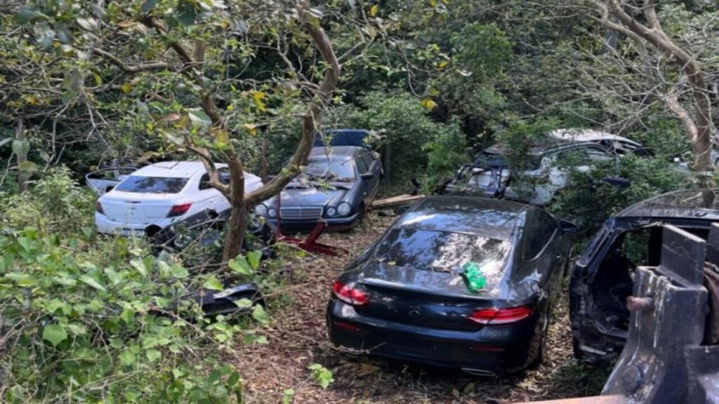 Operação da Polícia Civil em Portão revela depósito cheio de carros furtados