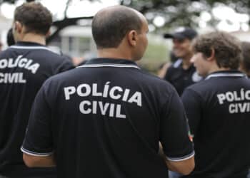 Operação da Polícia Civil em Portão revela depósito cheio de carros furtados