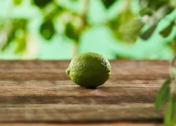 Este truque com cascas de limão congeladas virou tesouro nas cozinhas