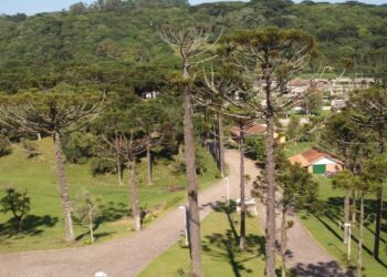 Serra Gaúcha terá novo aeroporto e obras recebem sinal verde para licitação