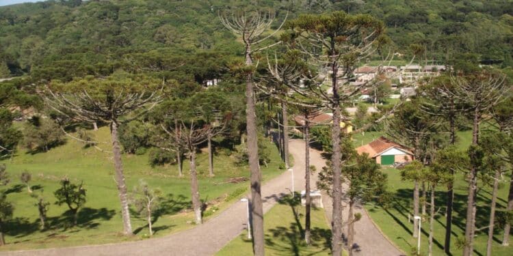 Serra Gaúcha terá novo aeroporto e obras recebem sinal verde para licitação