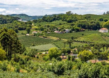 Créditos: depositphotos.com / lltrarbach