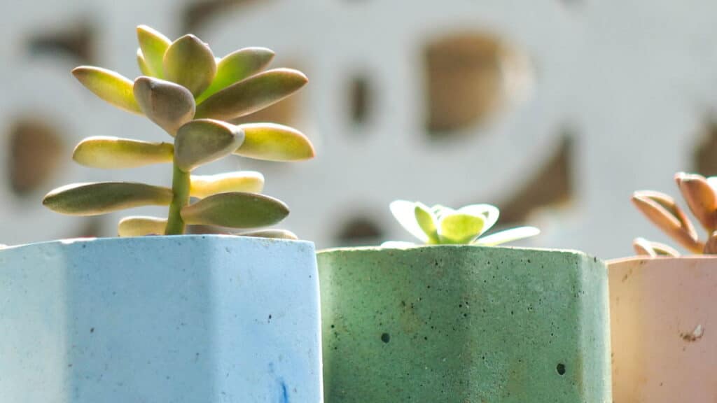 O toque que faltava na decoração da sua casa pode estar no bambu