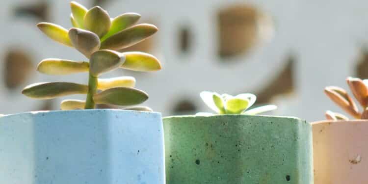 Decoração sustentável em casa une estilo moderno e economia com reciclados