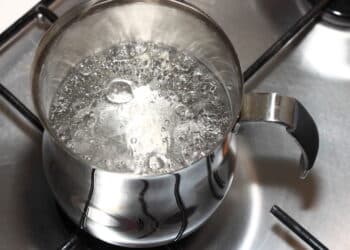 Ferver um ramo de alecrim em casa ajuda a purificar o ar, acalmar a mente e renovar as energias