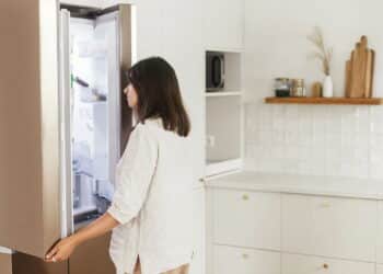 Nova geladeira japonesa chega ao Brasil com funções únicas para o dia a dia