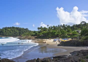 Créditos: depositphotos.com / giannakisphoto