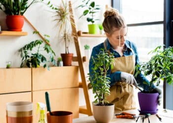 Como cuidar do jardim pode ajudar na sua ansiedade