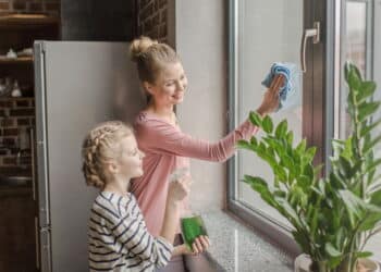 Truque caseiro para janelas brilhando viraliza entre donas de casa