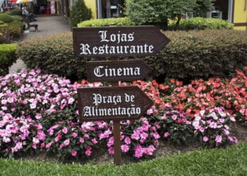 Créditos: depositphotos.com / Renataquenada